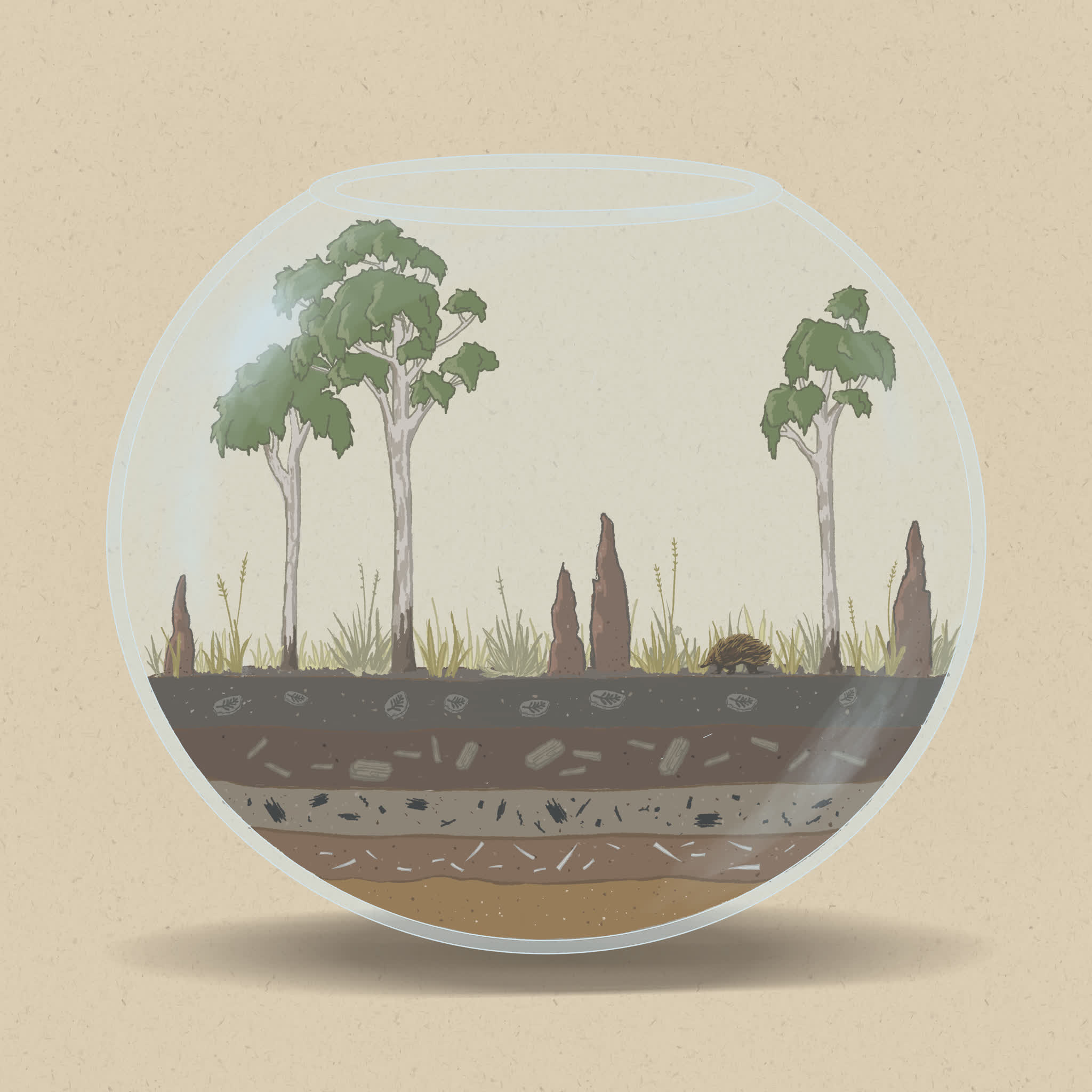 Savannas are home to a range of reptiles, mammals, birds, and insects.