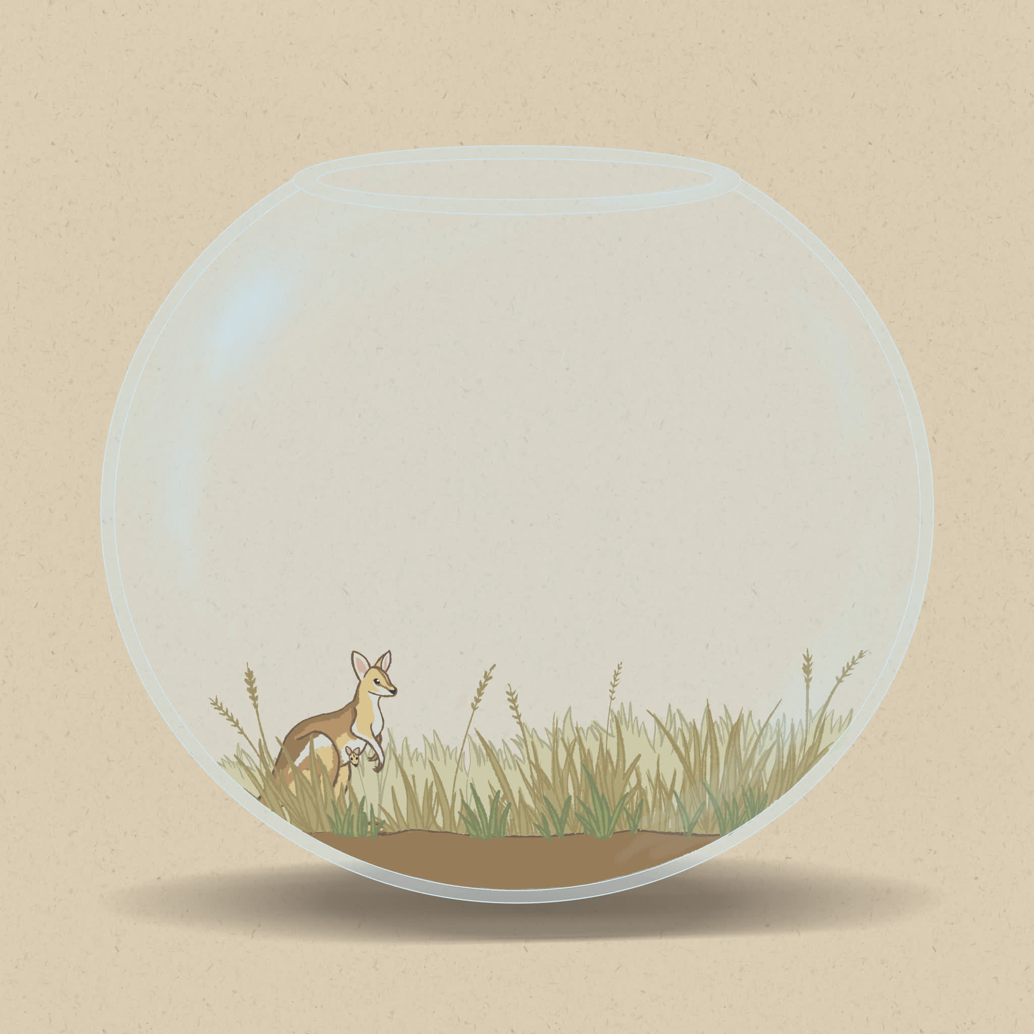 Grasslands are found across tropical and temperate regions of Australia.